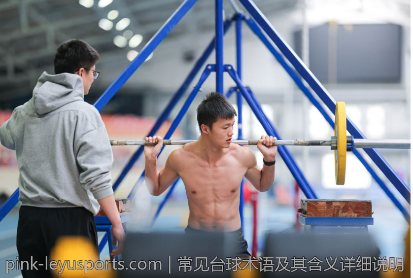 常见台球术语及其含义详细说明