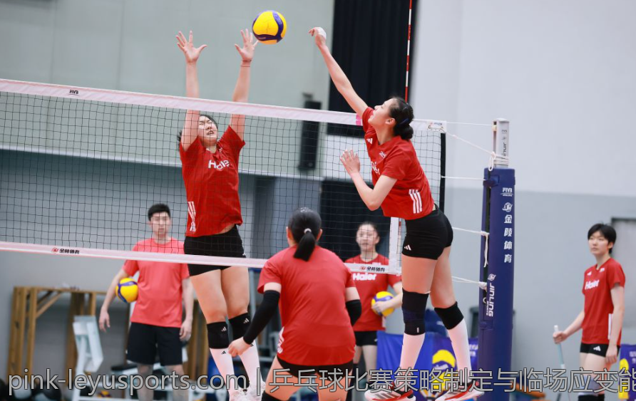 乒乓球比赛策略制定与临场应变能力