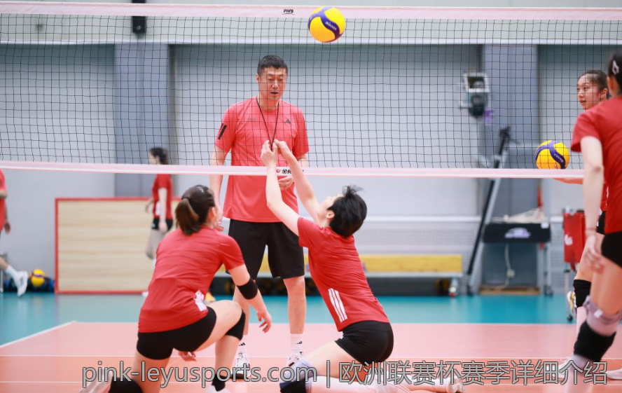 欧洲联赛杯赛季详细介绍