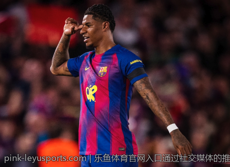 乐鱼体育官网入口通过社交媒体的推广效果