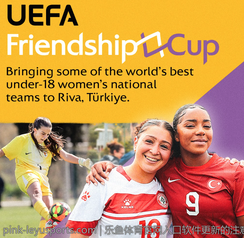 乐鱼体育官网入口软件更新的注意事项